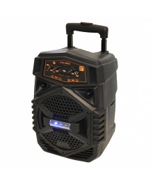 Активная напольная акустика KTS-1081B (чемодан, 25Вт, караоке)