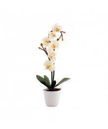 Светильник Старт LED Орхидея 2 Белый (2хАА)ик старт оптом с доставкой по Дальнему Востоку. Большой каталог светильников старт по низким ценам.