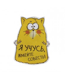 Наклейка на авто "Я учусь, имейте совесть!" (687550) Новокузнецк, Горно-Алтайск. Низкие цены, большой ассортимент. Автоаксессуары оптом по низкой цене.