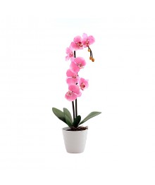 Светильник Старт LED Орхидея 2 Розовый (2хАА)ик старт оптом с доставкой по Дальнему Востоку. Большой каталог светильников старт по низким ценам.