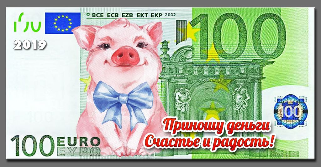 Магнит  2019 Банкнота Евро 100 Свинья "Приношу деньги"