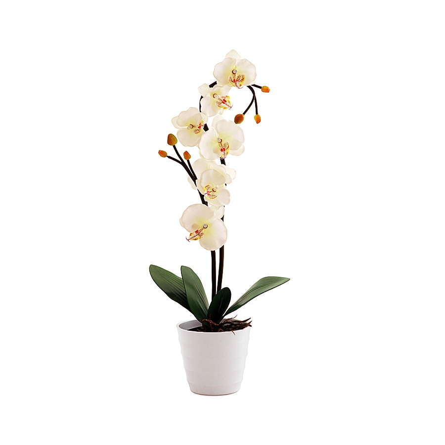 Светильник Старт LED Орхидея 2 Белый (2хАА)
