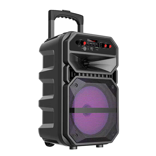 Активная напольная акустика JBK-0809 (чемодан, 15Вт, USB/FM/TF/MIC-6.3мм, караоке, акк, ду)