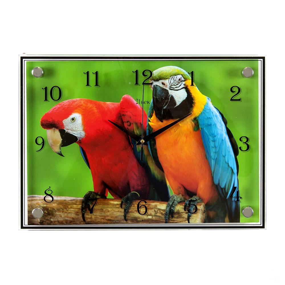 Часы настенные СН 2535 - 776 Попугаи прямоугольн (35х25) (5)