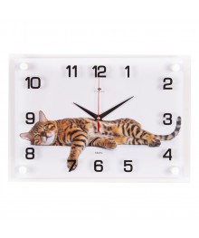 Часы настенные СН 2535 - 096 Бенгальский кот прямоугольн (35x25) (10)астенные часы оптом с доставкой по Дальнему Востоку. Настенные часы оптом со склада в Новосибирске.