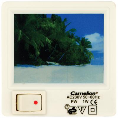 Ночник Camelion XYD-403  р012   (ночник с картинкой, с выключателем, 220V, 1W)