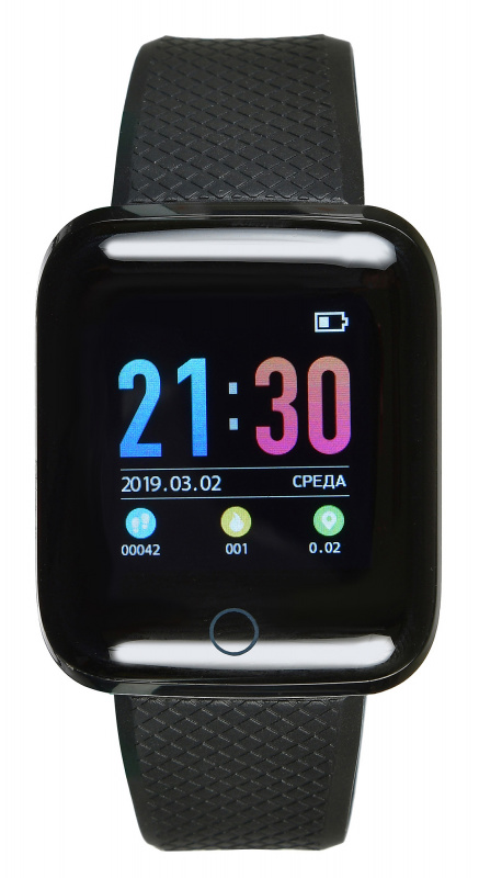 Smart часы Digma Smartline D2e 1.3" черный D2E