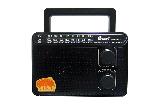радиопр Fepe FP-1603 сетевой 220V / 2*R20 (не в компл.)