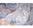 Коврик GRAILY  диатомитовый  40*60 см 4мм  GR-4060-01d4
