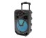 Активная напольная акустика JBK-0810 (чемодан, 15Вт, USB/FM/TF/ MIC-6.3мм, караоке, акк, ду)