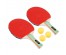 Набор для игры в пинг-понг в чехле (ракетка 2шт, мяч 3шт), дерево, 306