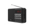 rpr-001-thumbnail-1674205491939.jpg